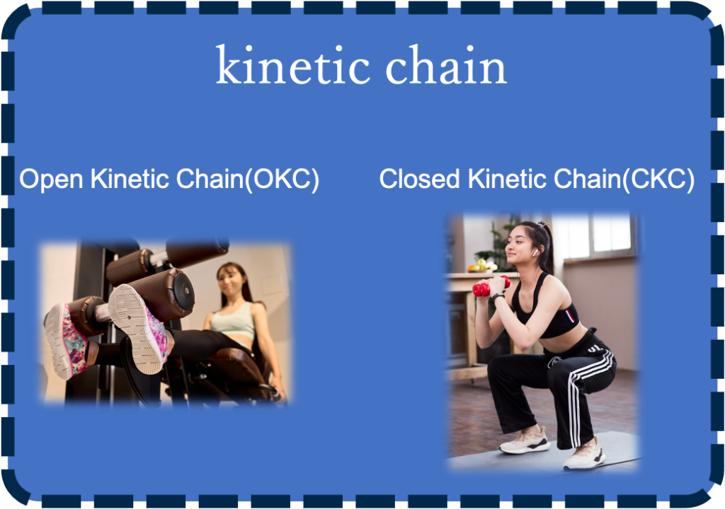 福岡市西区のおるきの整体でトレーニング指導をする時に使っているkinetic chain